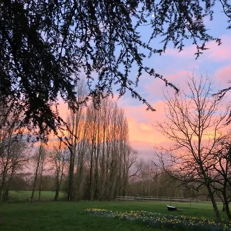 Chateau De La Preuille Montaigu-Vendee