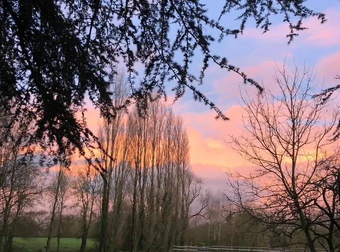Château De La Preuille Montaigu-Vendee