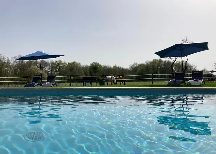 Chateau De La Preuille Nocleg ze śniadaniem 3*